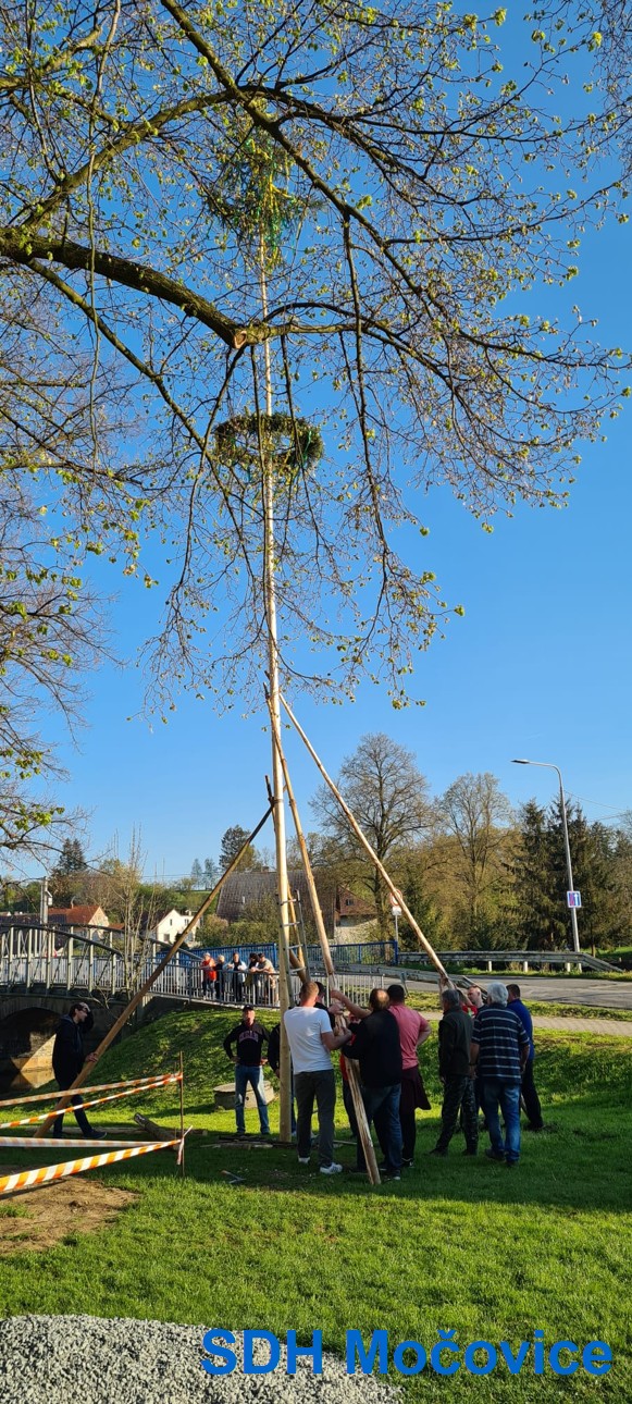 IMG-20230501-WA0025