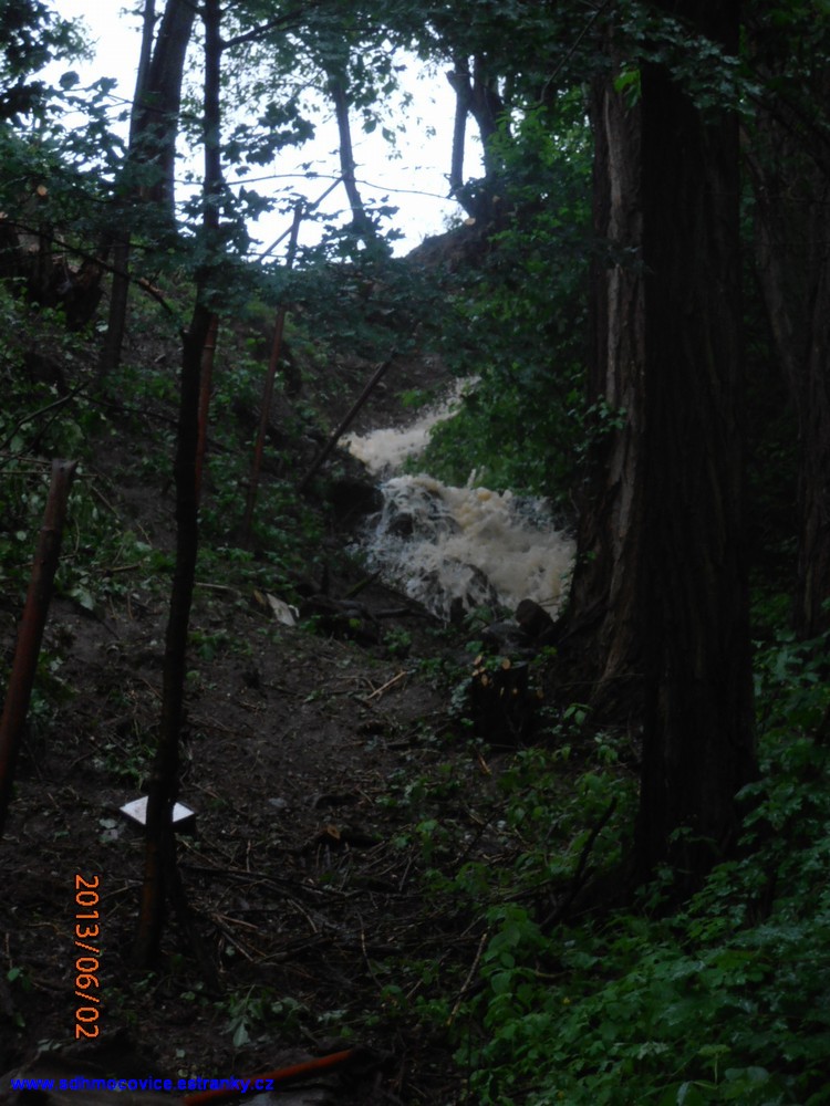 P6020121