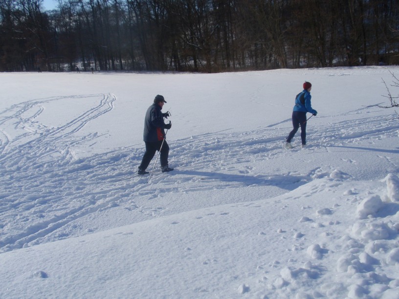 P1300150.JPG