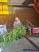 IMG-20250504-WA0072