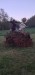 IMG-20260430-WA0016
