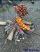 IMG-20260430-WA0022